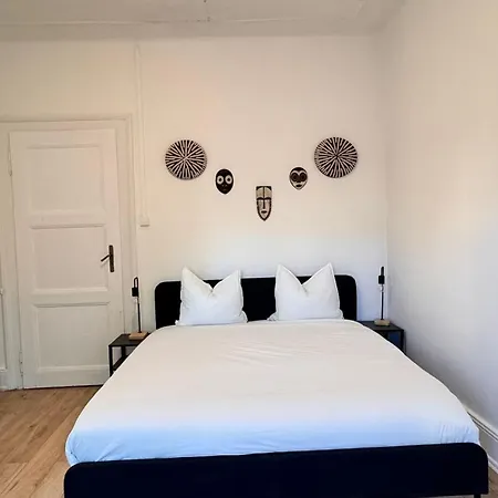210 Saint-louis | Centre, Gare Et Proche Bale Apartment *